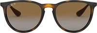 Ray-Ban womens 0RB4171 Sunglasses (pack of 1) Light Tortoise-Polarized Brown Gradient/54 EU