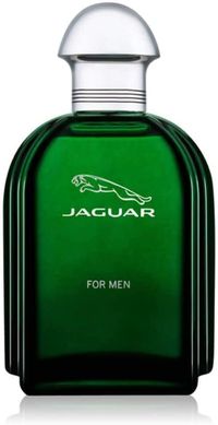 Jaguar Green EDT 100ML For Men