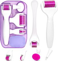 6 In 1 Derma Roller System White/Purple