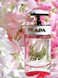 Prada Candy Kiss (W) EDP 80ML Tester.