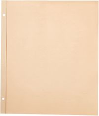 Pioneer SJ-50R 11-Inch-by-14-Inch, Postbound Refill Pages, 25 Per Package