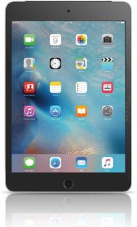 Apple iPad Mini 4 WIFI With FaceTime (A1538) - 7.9 Inch, 128GB, Space Gray