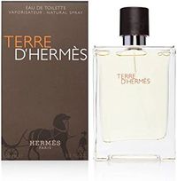 Terre D 'Hermes EDT Perfume for Men, 100 ml multi color