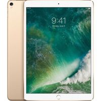 Apple iPad Pro  (2017) 10.5 inch WIFI 256 GB  - Gold