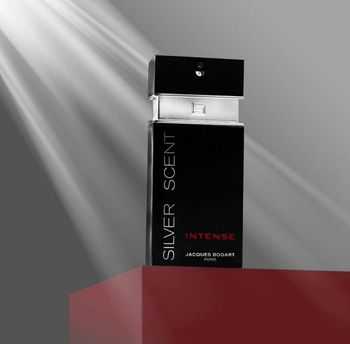 Silver best sale scent intense