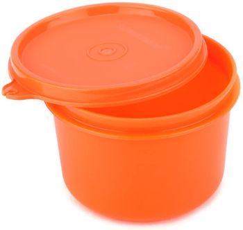 Buy Signoraware Crispy Slim Box Plastic Container - Red