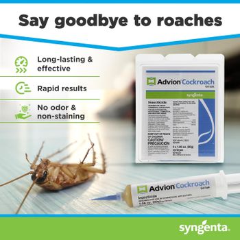 Advion Cockroach Gel Bait  (30g ) | Includes Plunger and Tip | Effective German Roach Pest Control | Indoor and Outdoor Use | Roach Killer Gel for American Homes