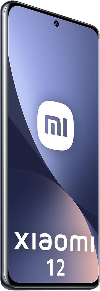 Xiaomi 12 Dual-Sim 128GB ROM + 8GB RAM 5G - Grey