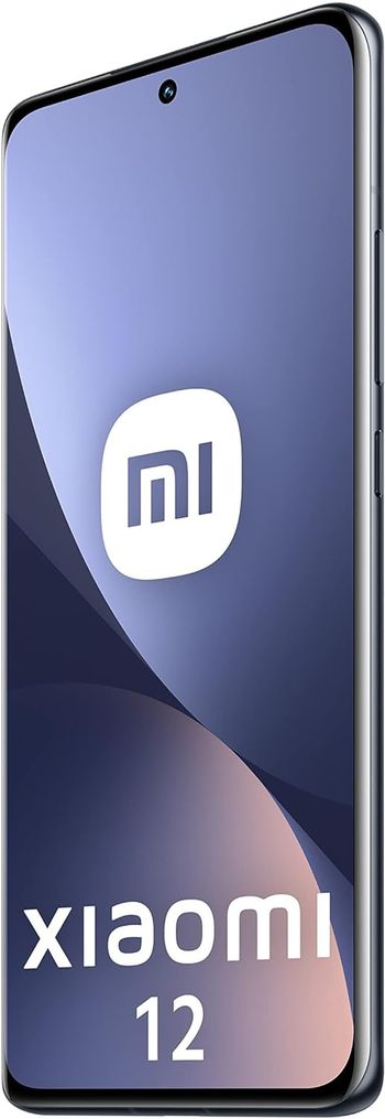 Xiaomi 12 Dual-Sim 128GB ROM + 8GB RAM 5G - Grey