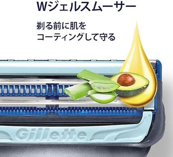 Gillette Skin guard power holder with 2 spare blades - Japan Model