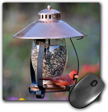 Northern Cardinal on copper lantern hopper bird feeder, Marion Co. IL - Mouse Pad, 8 by 8 inches (mp_208643_1)/8 by 8 inches/Multicolour