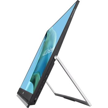 Asus ZenScreen MB249C 23.8" Full HD 1920 x 1080 at 75 Hz Portable Monitor (90LM0865-B021B0)