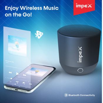 Impex Rechargeable Multimedia Bluetooth Speaker BTS2013 Black