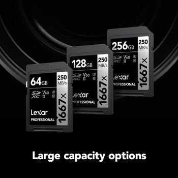 Lexar 128GB (2-Pack) Professional 1667x SDXC Memory Cards, UHS-II, C10, U3, V60, Full-HD & 4K Video, Up To 250MB/s Read, for Professional Photographer, Videographer, Enthusiast (LSD128CBNA16672)