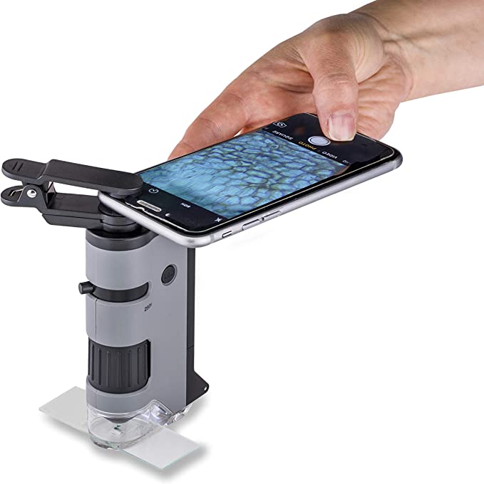 Carson MicroFlip 100x-250x LED and UV Lighted Pocket Microscope with Flip Down Slide Base and Smartphone Digiscoping Clip Bundle Included, MP-250BUN