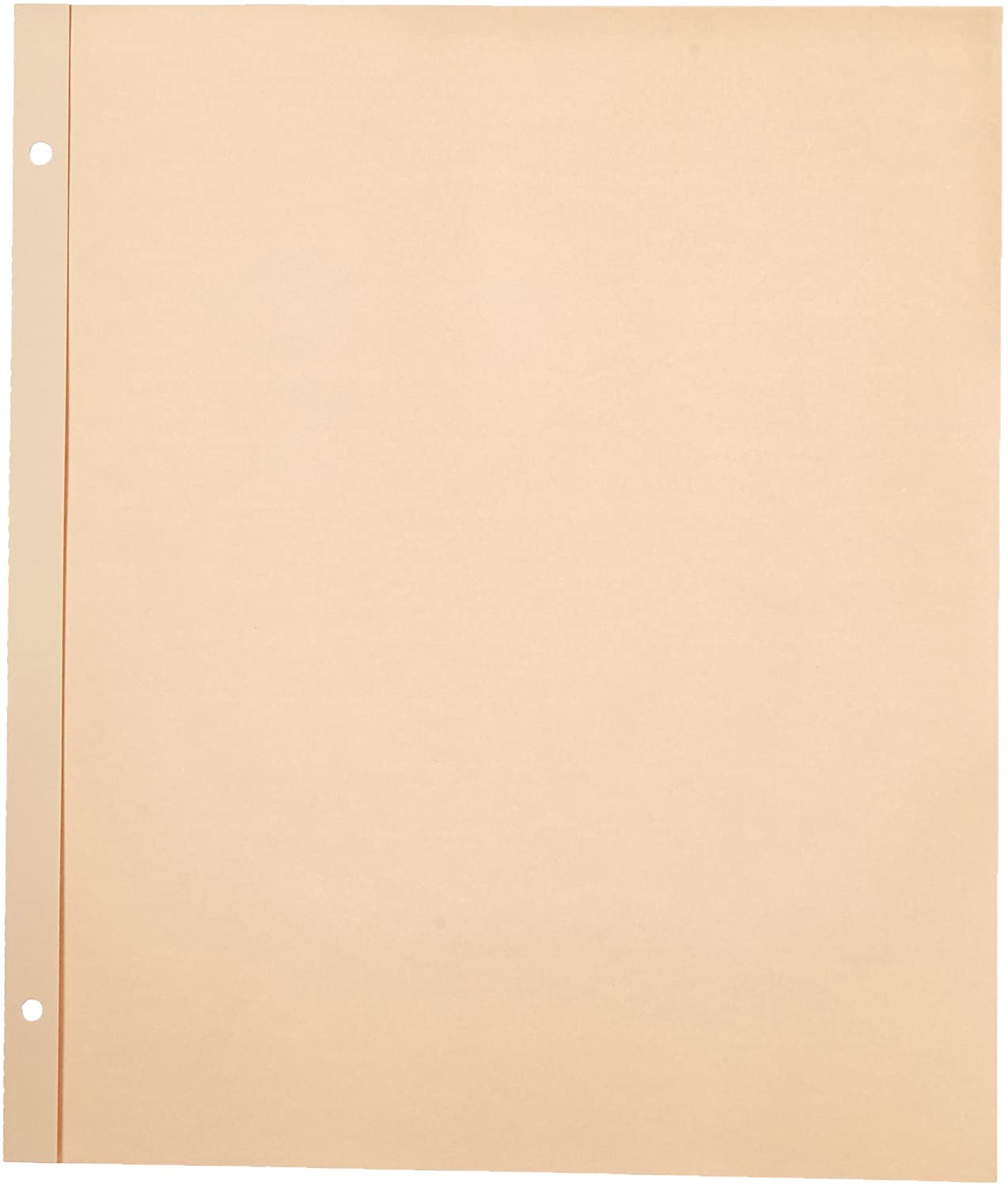 Pioneer SJ-50R 11-Inch-by-14-Inch, Postbound Refill Pages, 25 Per Package